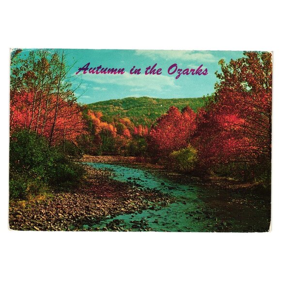 Autumn Ozarks Vintage Postcard Fall Scene Missouri Arkansas Postcard Mailed Tree - Picture 1 of 2